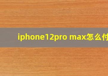 iphone12pro max怎么付款